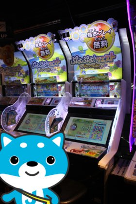 【カス丸が来る！】大人気「ぷよぷよ!!クエスト アーケード」は昼前と夜がねらい目　ゲーセンで遊んでみた