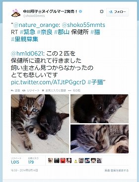捨てられた子猫「保健所に連れて行くなっ」　中川翔子がツイッターで呼びかけ、大議論に