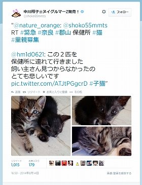 引用されたツイート