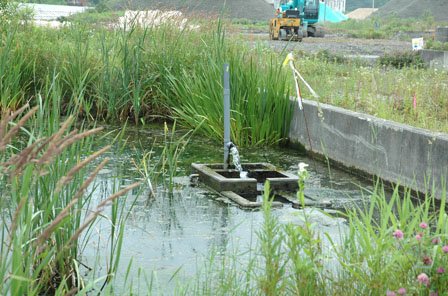 震災後もこんこんと湧きだす湧水を生かす知恵が求められています＝2014年6月22日、大槌町
