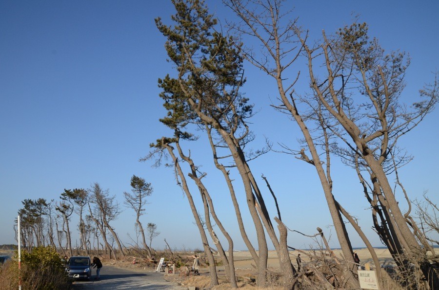 津波で大きな被害を受けた仙台市若林区荒浜（2013年3月）