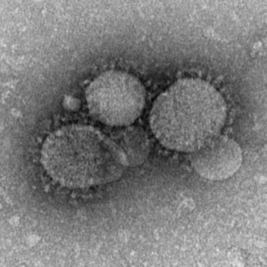 韓国で大流行の「MERS」　日本上陸の可能性はあるのか