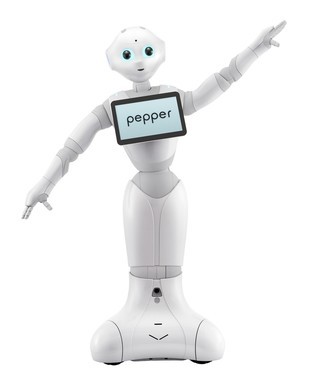 人型ロボットPepperの禁止事項に「性行為」 どういう想定なの？と、素朴な疑問広がる