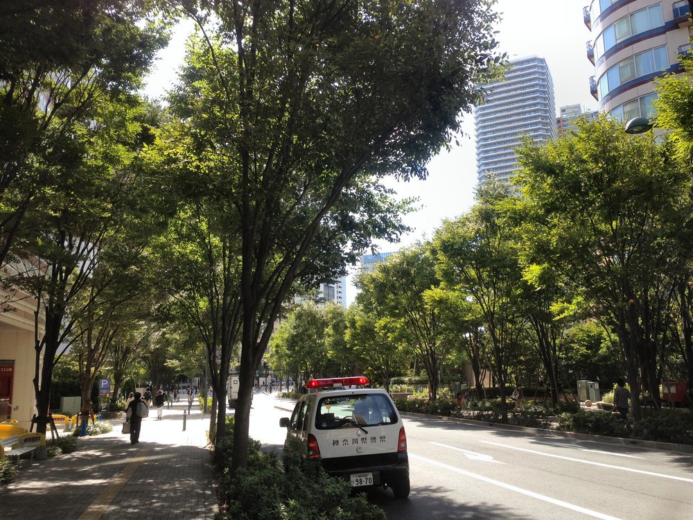 人気の街「武蔵小杉」を襲う落下物騒動　住民からは資産価値「下落」の懸念も