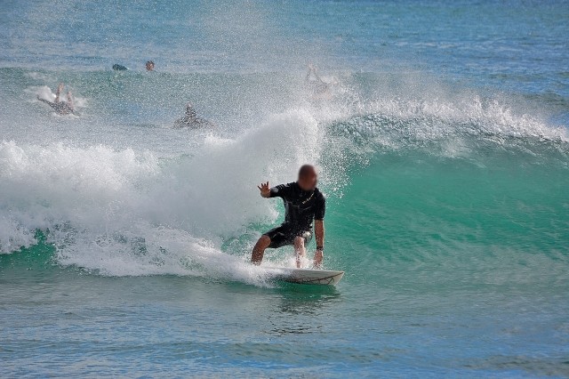 サーファーに多い納豆アレルギーの謎　海の憎～いアイツが悪さ