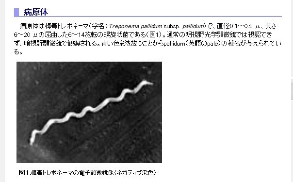 悪循環に陥り始めた日本の「梅毒」感染　患者は調査以来最多、若い女性急増の謎