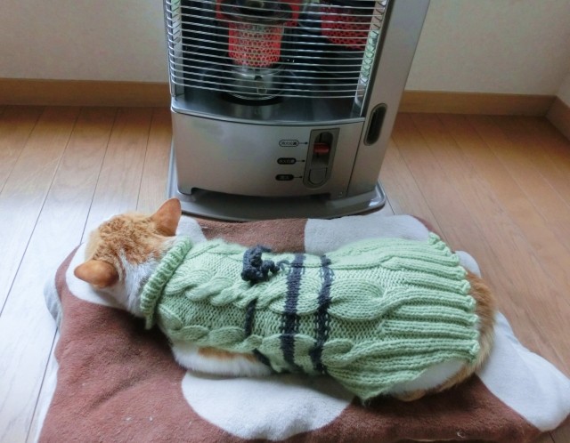 「正月太り」解消の奥の手教えます　女子力アップのキーワードは「寒さ」