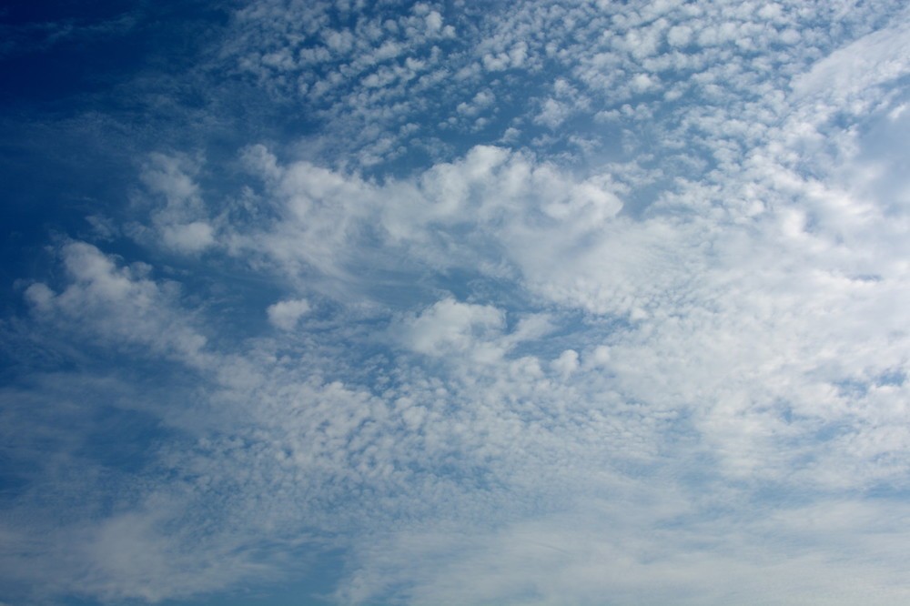 ツイッターに連日報告、「地鳴り聞いた」 「大震災の予兆では」とネット大騒ぎ