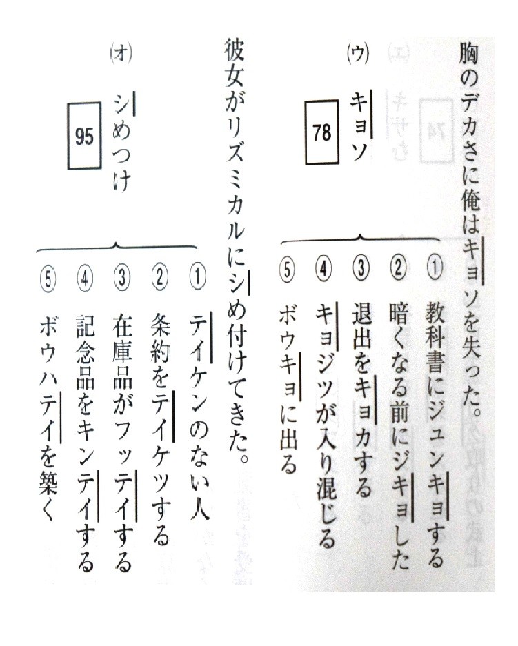 「過激」な表現が並ぶ（写真は同書収録の例文）