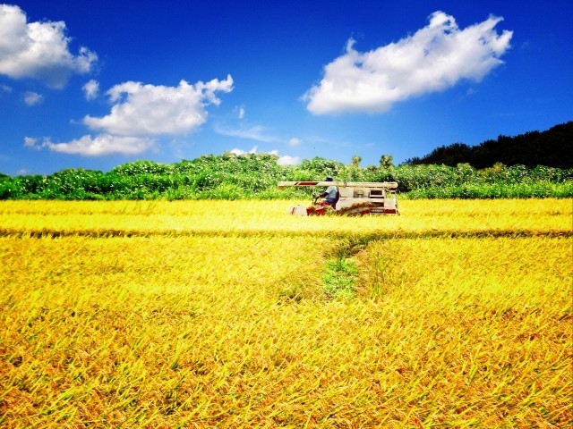 政府のTPP「農業試算」は甘すぎないか　民間から「全く説明がつかない」の声