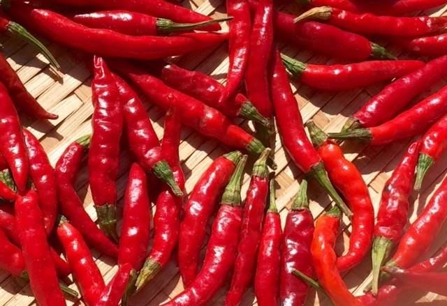 トウガラシ・ダイエットの意外な真実　胃腸が荒れるから食欲がなくなる