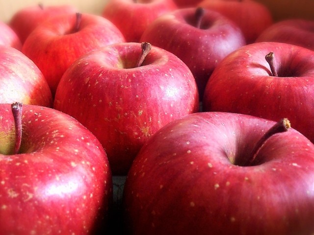 毎日1個のリンゴを食べると長生き　肺がんや心臓病、アレルギーも減らす