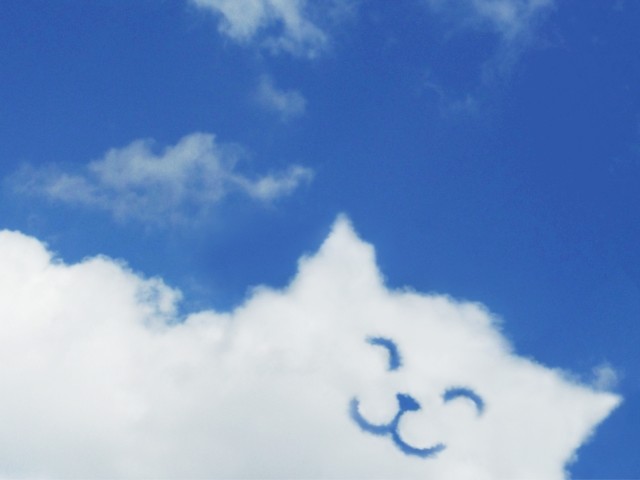 がんになりやすいが死亡しにくい？！　積極的な人は不思議なパワーを持つ