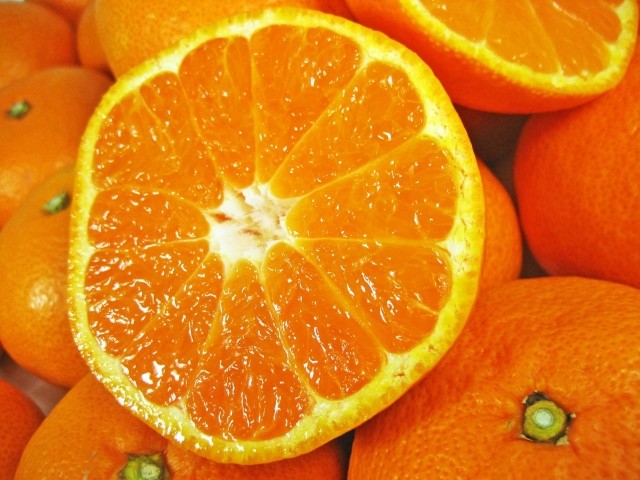 ミカン　毎日3～4個食べると糖尿病が6割減　ビタミンCだけでなかった驚異の成分