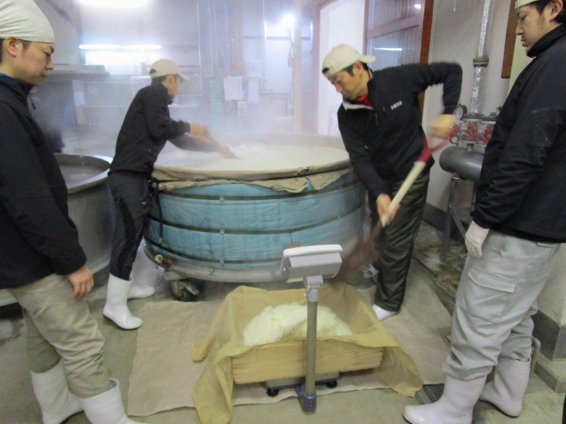 出来上がった蒸米をスコップで掘り出し計測し、仕込みに運ぶ