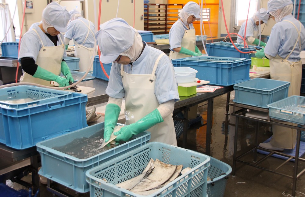 【震災5年　絆はどこに（4）宮城県気仙沼市】<br />津波と大火災に打ちのめされた魚の街　水産加工業復活で勢いを取り戻せ