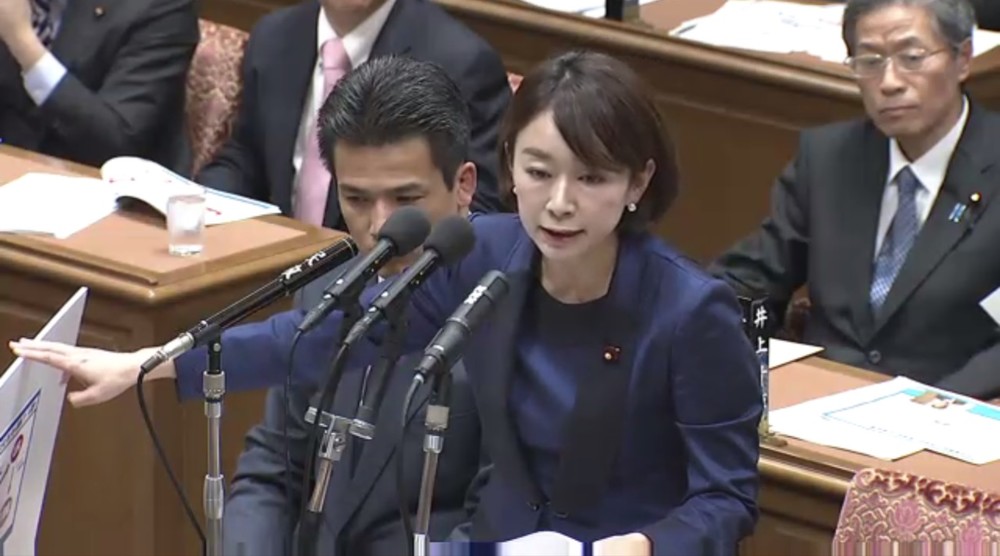 山尾氏は衆院予算委員会で匿名ブログを取り上げたことで注目が集まった（衆議院インターネット審議中継より）