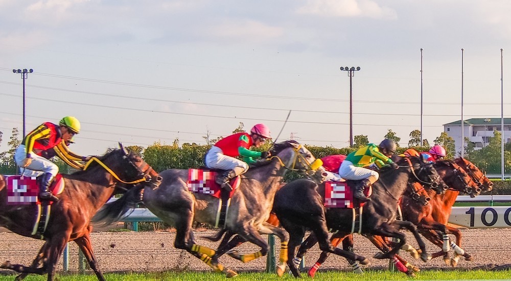 アイドル騎手「ゼッケン窃盗」事件が「せつねぇな」 出頭51歳に付き添った「母」に同情の声