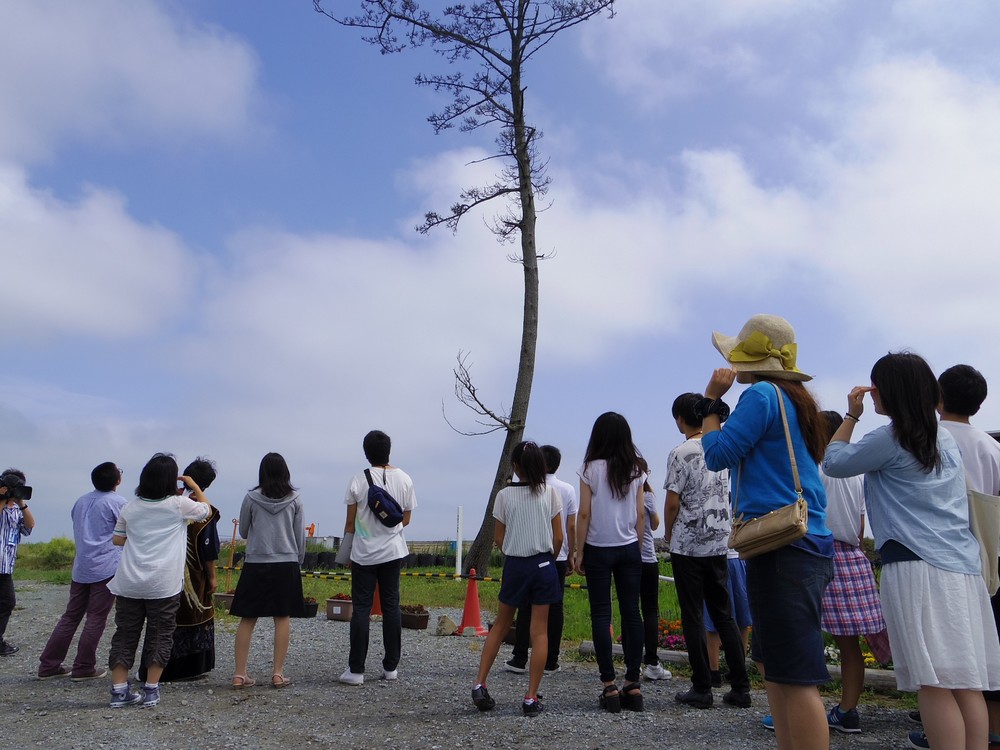 バスツアーで訪れた南相馬市の「かしまの一本松」