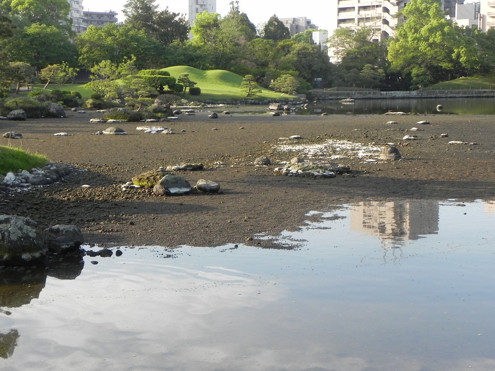池の水が干上がった水前寺公園の風景（画像は水前寺成趣園提供）