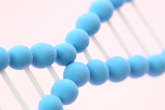 「奇跡の遺伝子」を持つ人が世界に13人いた　 「必ず発病」の遺伝病から命を守る仕組みとは