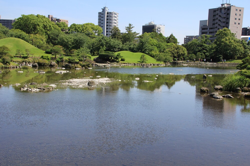 枯れた水前寺公園の池、突然「水位上昇」　地震と地下水と湧水、雨水めぐる「謎」