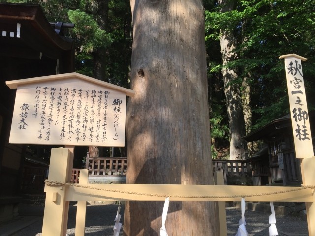 諏訪大社「御柱祭」で転落死は「宮司の犯罪」？　弁護士「告発」に賛否