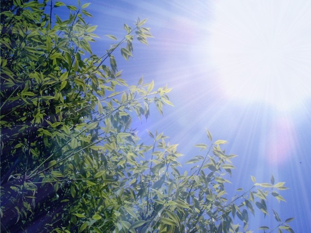 肌の老化の8割は紫外線のせい　目からも「日焼け」夏前に対策を