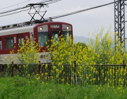 「乳首おじさん」は5月21日に近鉄京都線の電車の中で、女子高校生に下半身を露出した容疑で逮捕された(写真はイメージ)