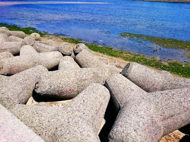 東京で「領土争い」　五輪の大義で解決可か