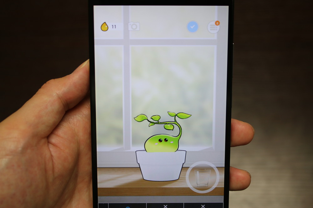 成長を始めたばかりの「レベル2」のポトス