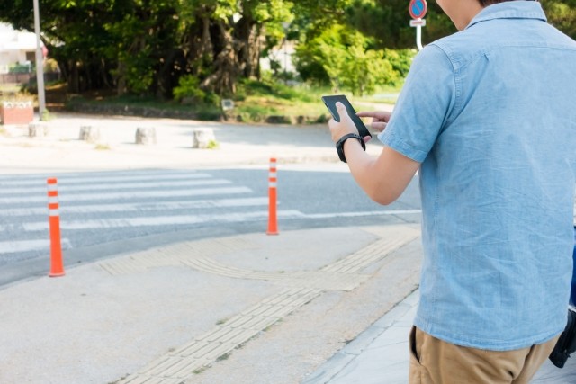 健康にいいが、くれぐれも車に気をつけて
