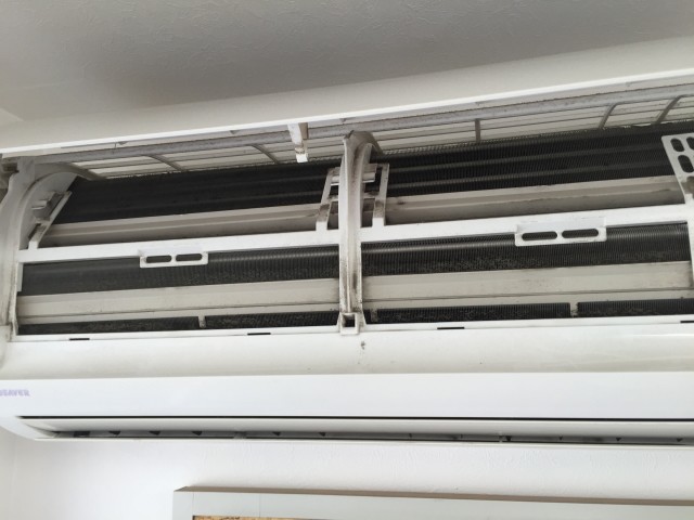 エアコン開けたらカビがビッシリ　掃除サボるあなたに命の危険