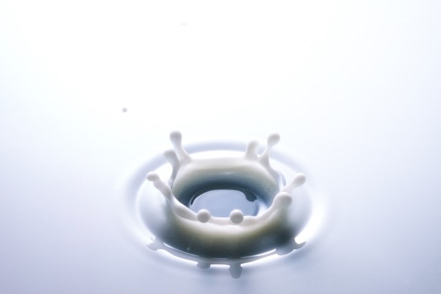 飲めますか？「ゴキブリのミルク」　栄養価は牛乳の4倍の「完全食品」