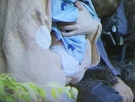 真田丸「紙オムツ事件」無事、解決でござる　再放送では場面カット