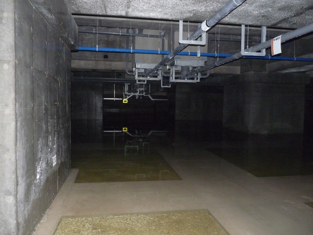青果棟床下は一面水たまりだった（共産党都議団9月14日夕撮影・提供）