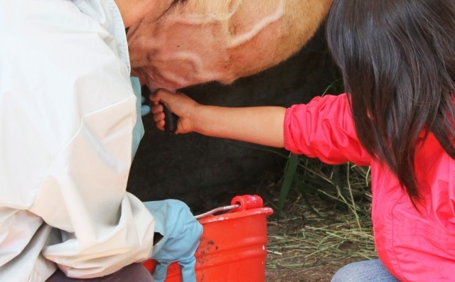 牧場乳しぼり体験の牛、「ストレス死」ではなかった　飼育担当の「反論」ツイッターが波紋