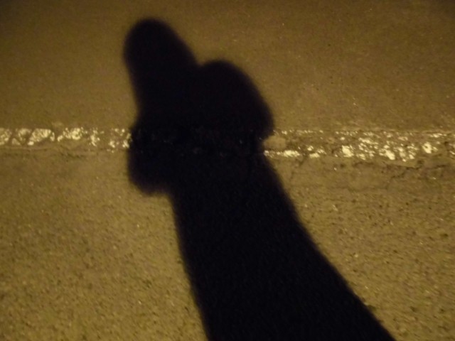 わが子のスマホをチェックしますか　いじめやネット犯罪の元を断つには