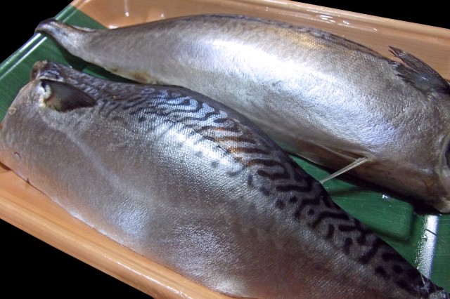 記者は見た！寄生虫アニサキス　怖い食中毒はこうして予防しよう