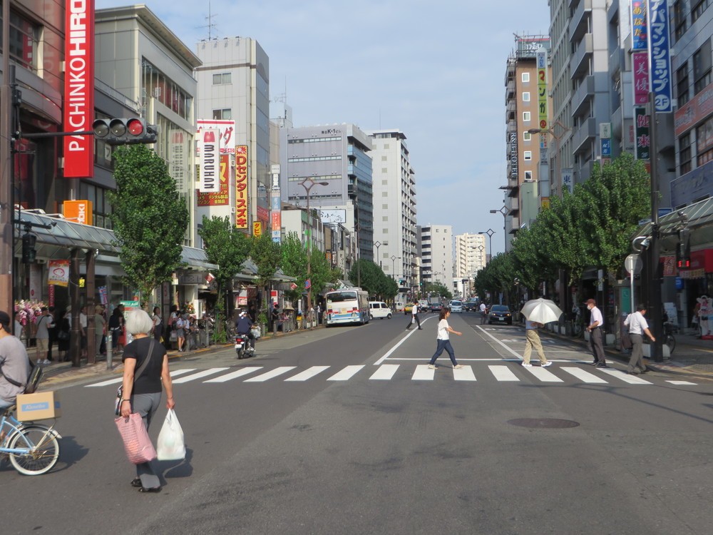 ゴジラが襲った蒲田東口の大通り（2016年9月2日、Jタウンネット編集部撮影）