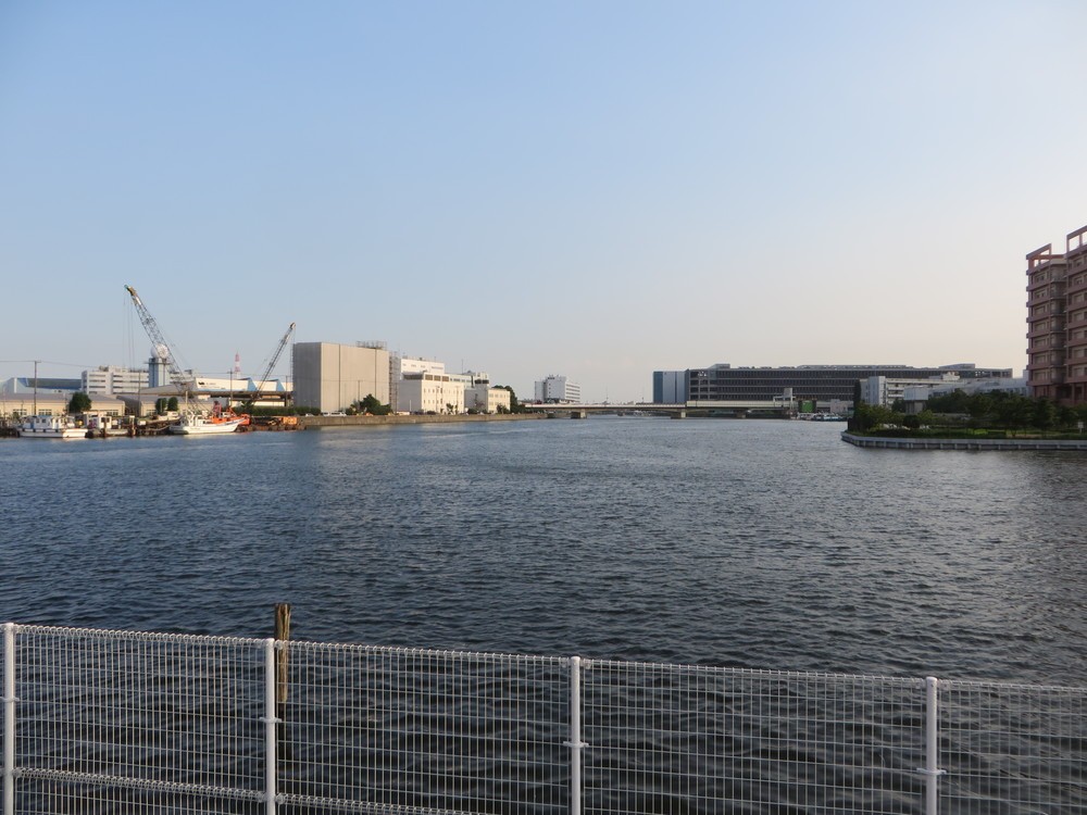 ゴジラは直進方向から海老取川を進み、画面右の呑川へ入った（2016年9月2日、Jタウンネット編集部撮影）