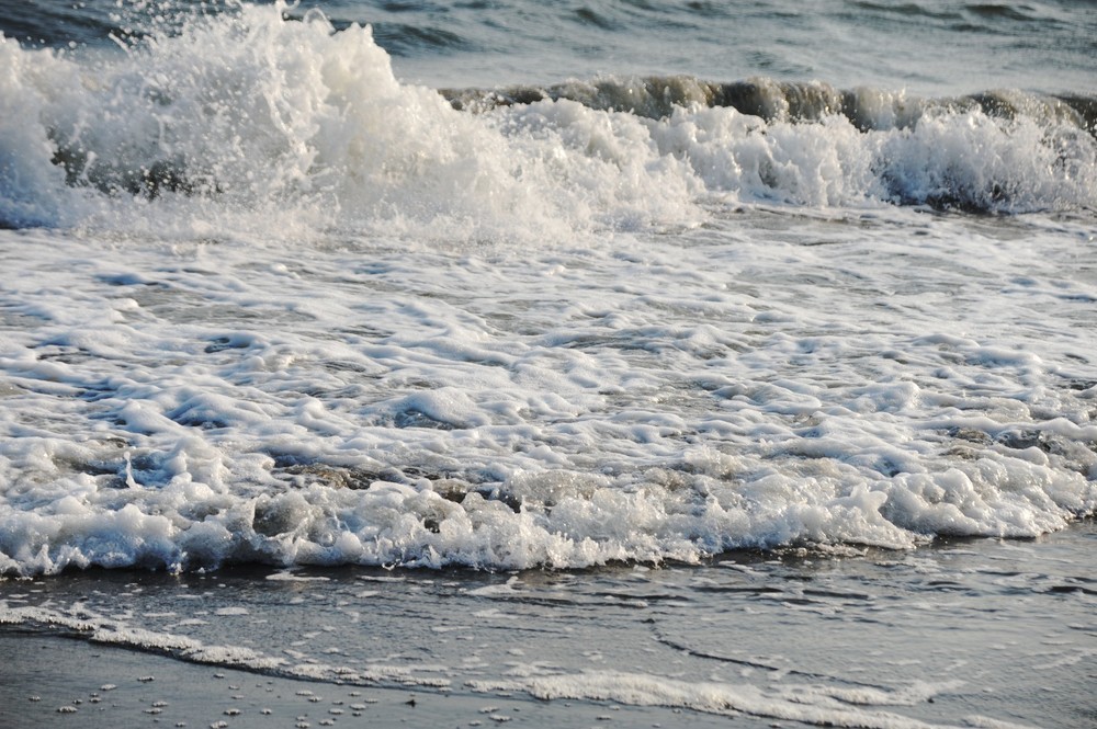宮城県でも津波観測　大船渡、鮎川で30センチ