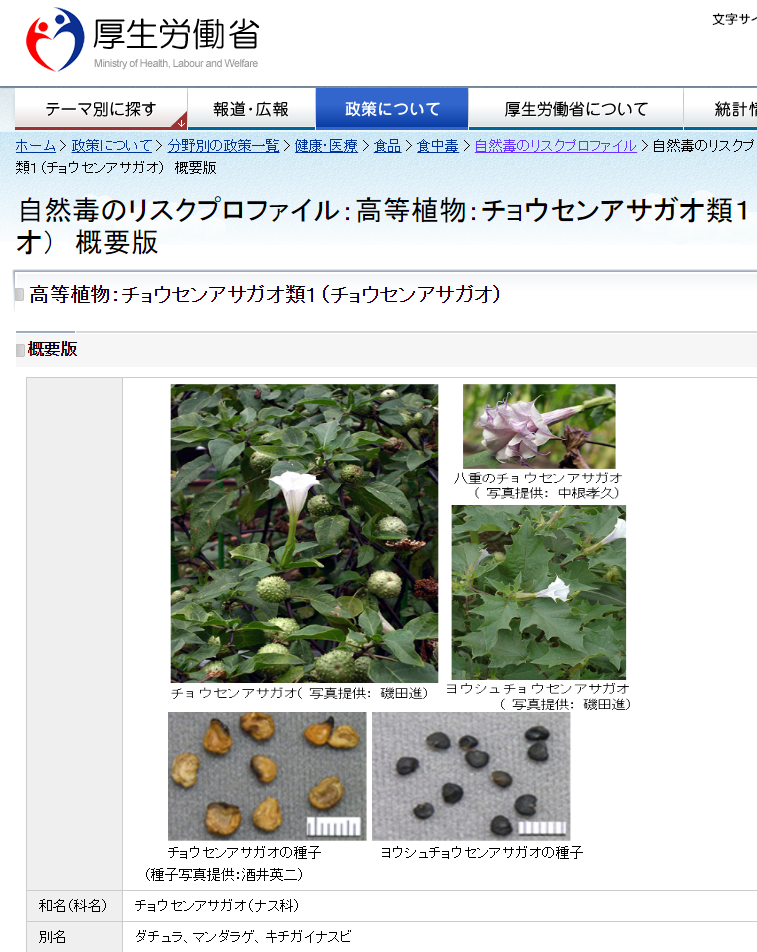 その毒性を紹介する厚労省サイト