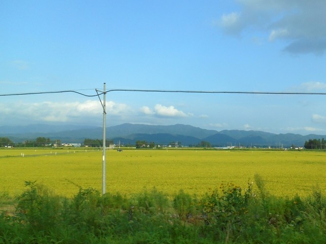 若い女性が都会を捨てる　モテる「地方」の魅力と落とし穴