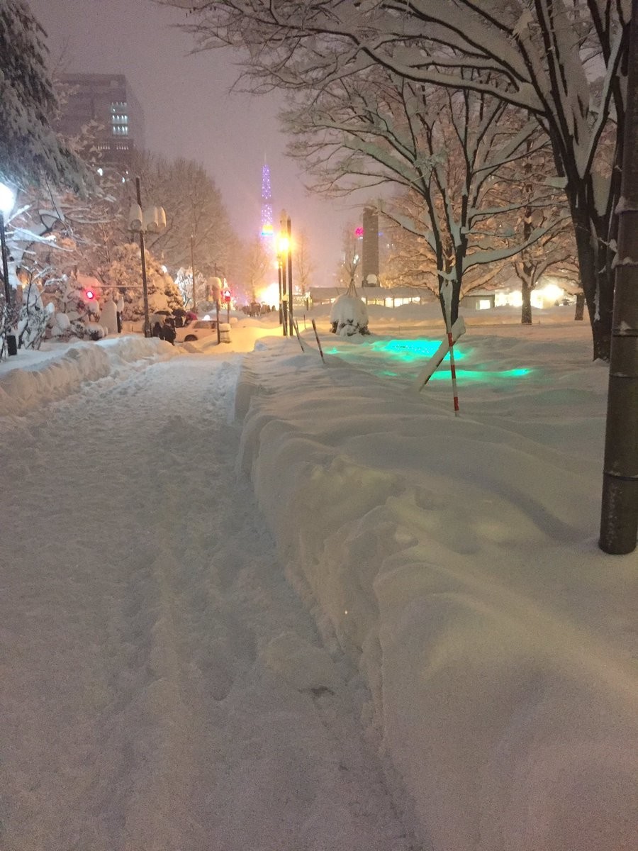 sirohera（＠sirohera）さんのツイートより。同じく雪に埋もれた大通公園のイルミネーション