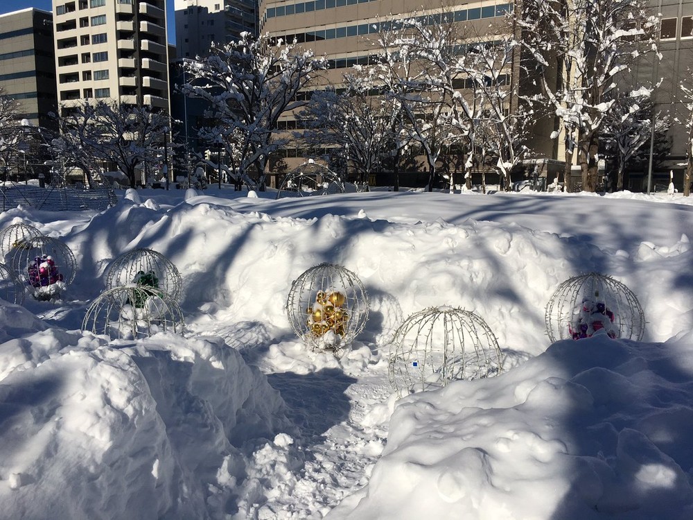 ジャスミン（＠mutumi1999）さんのツイートより。24日の大通公園では、無事イルミネーションが救助された模様