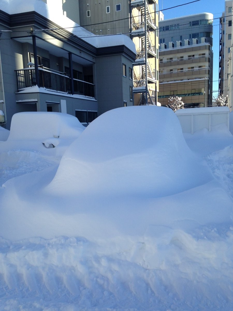 pam（＠vitamin_pam）さんのツイートより。すっかり埋もれてしまった自動車たち