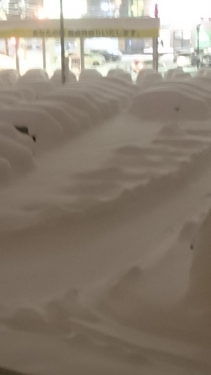 キラキラ★（@kirakira0840）さんのツイートより。雪に埋もれた自動車売場