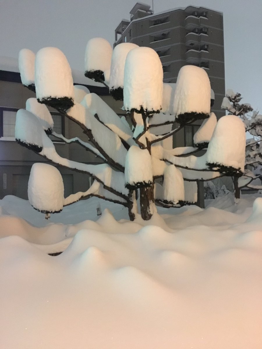 ぷーしゃん（＠caspushan）さんのツイートより。たけのこのように降り積んだ雪