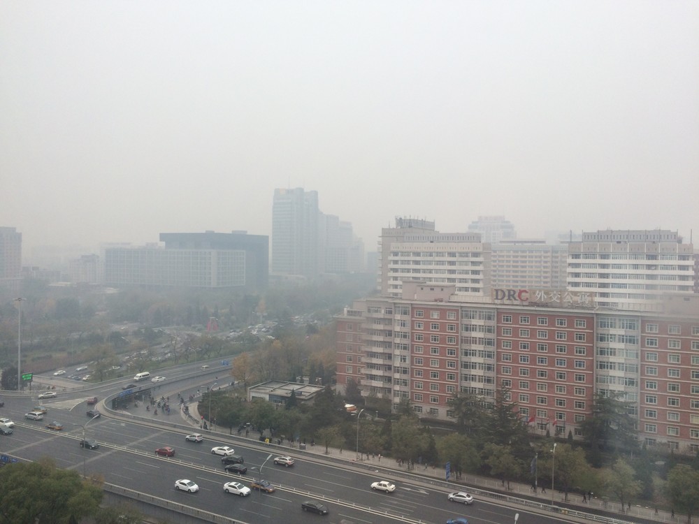 大気汚染によるアレルギーが増えている（2014年11月撮影）